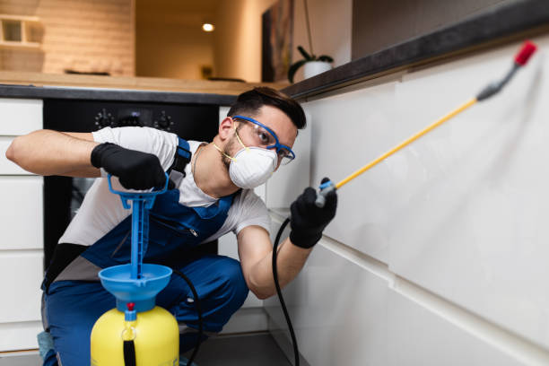 Best Pest Control Near Me in Garden View, PA