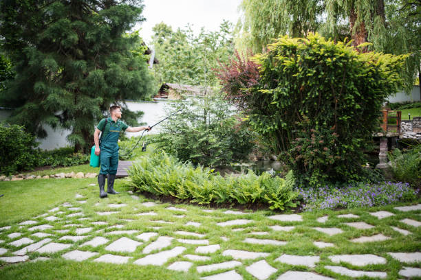 Best Cockroach Control Services  in Garden View, PA