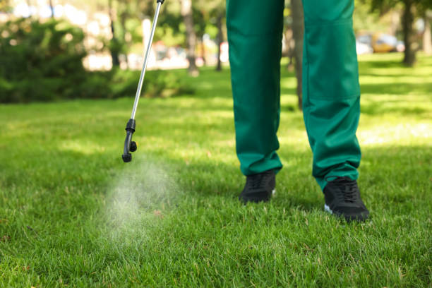 Best Flea Control Services  in Garden View, PA