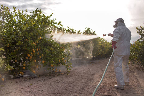 Best Flea Control Services  in Garden View, PA