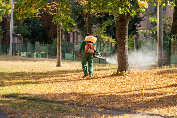Best Best Pest Control Companies  in Garden View, PA