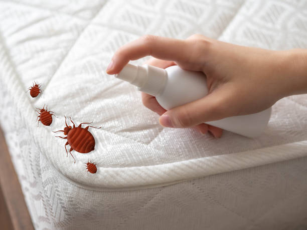 Best Mosquito Control Services  in Garden View, PA