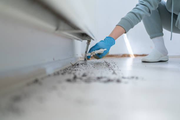 Best Termite Control Services  in Garden View, PA